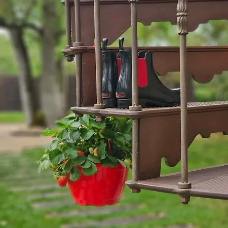 Prázdninový dům Les Mazasses