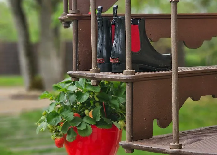 Hébergement de vacances Les Mazasses